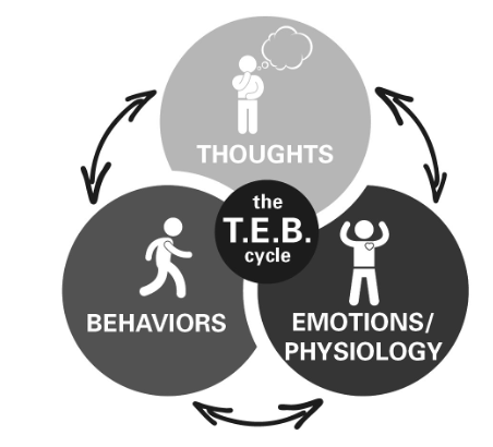 TEB Cycle